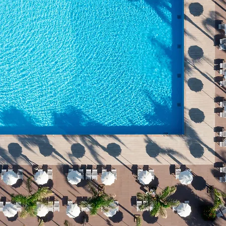 Voi Tanka Selected וילסימיוס