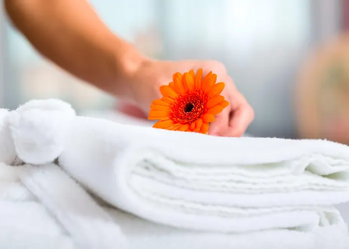 Voi Tanka Selected 4*